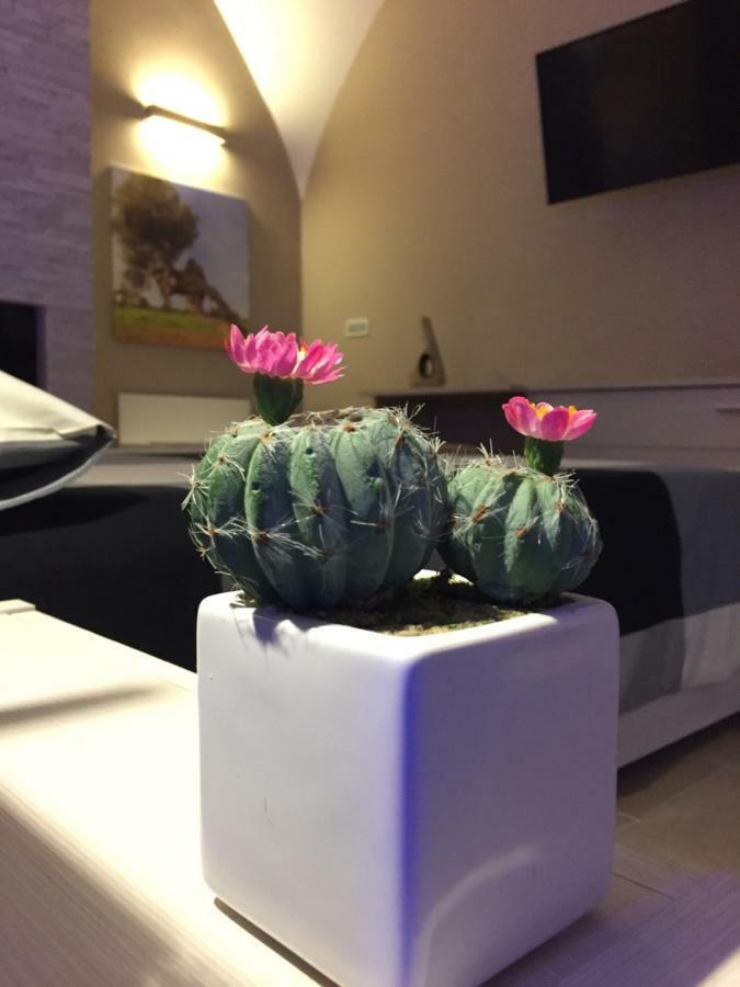 Oroverde B&B 特拉尼 外观 照片